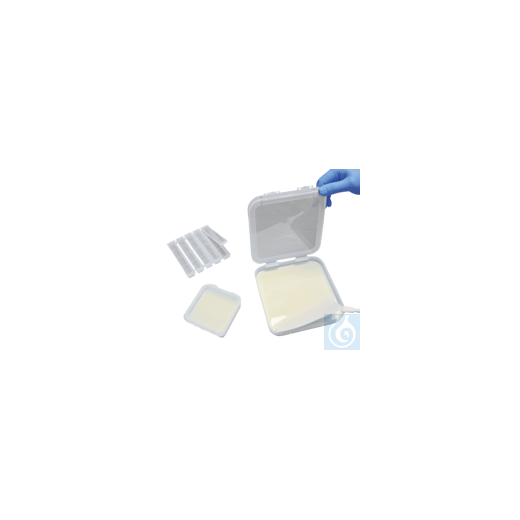 neoLab® Blotting-Behälter, PP, 16 x 110 mm ( mit Zubehör) , 5 Stk/Pack