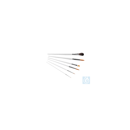 neoLab® quality brushes made of marten and synthetic hair, 6 pcs. in set