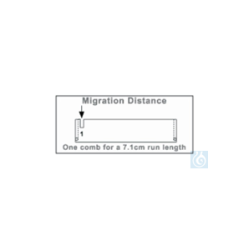 Owl&trade; C2-S Micro Electrophoresis System Combs...
