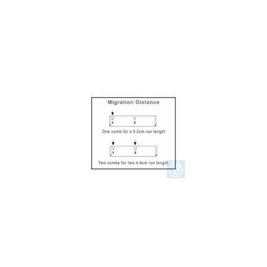 Owl&trade; D2 Wide-Gel-Electrophoresesystem Standard 4