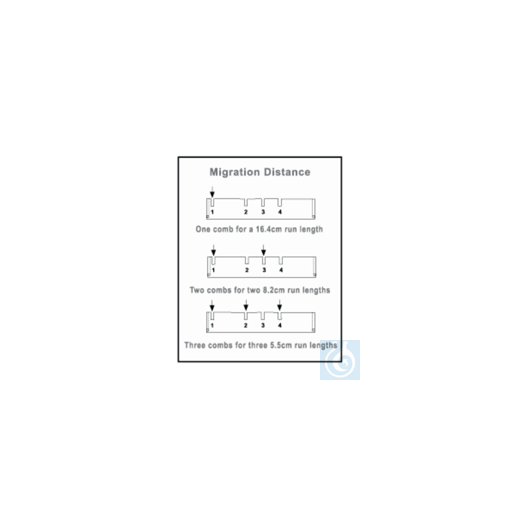 Owl&trade; D4 Horizontal Electrophoresis System Combs Micro well