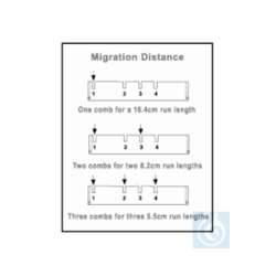 Owl&trade; D4 Horizontal Electrophoresis System Combs...
