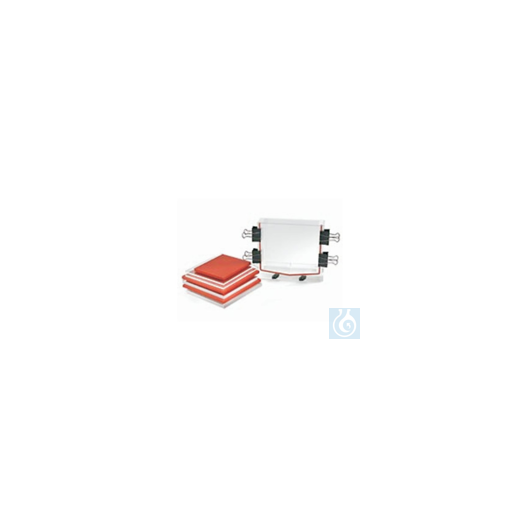 P2-CST Multiple Gradient Gel Caster Comb, 25 teeth Frosted blank glass - —