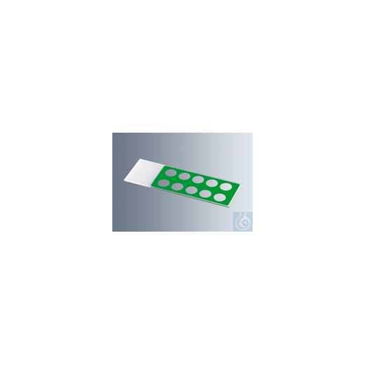 Objektträger mit Reaktionsfeldern