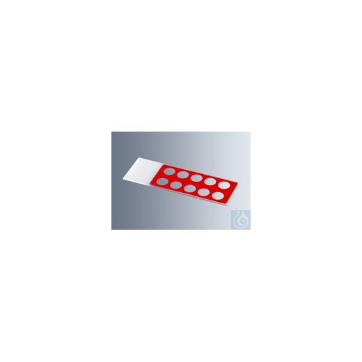 Objektträger mit Reaktionsfeldern