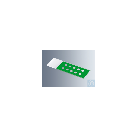 Objektträger mit Reaktionsfeldern