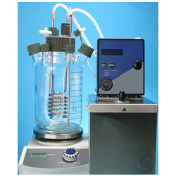 Bioreactor 15 l All-glass reactor Glass reactor for...