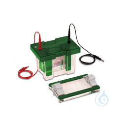 GELGUSSBASIS 10 CM Accessories for the EVS1100 series...