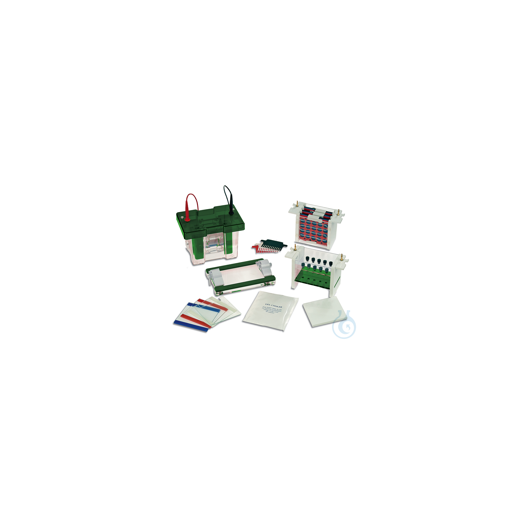 EVS1100-MULTI MODULAR SYSTEM 10X10 CM These systems comprise all modules and