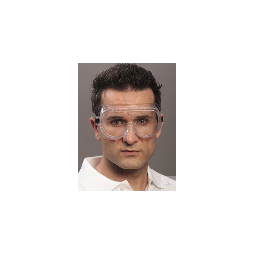 Full view goggles BASIC