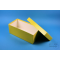 ALPHA Box 100 long2 / 1x1 without compartments, yellow, height 100 mm, carton