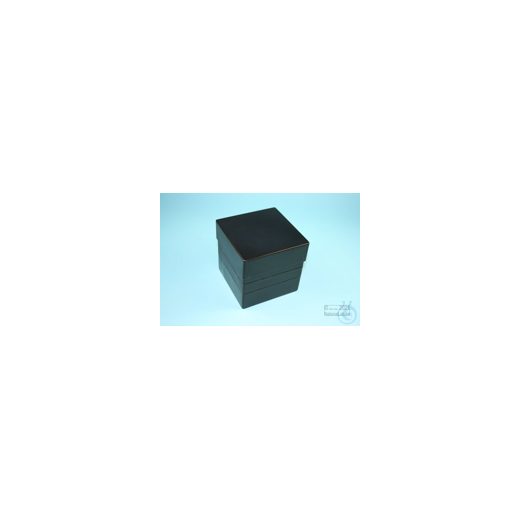EPPi® Box 128 / 10 compartments, black/black, height 128 mm fixed, without coding, PP.