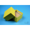 NANU Box 50 / 5x5 Fächer, gelb, Höhe 50 mm, Karton spezial.
