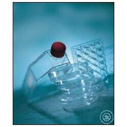 ZELLKULTUR MICROPLATTE, 96 WELL, PS, F-BODEN (KAMINF