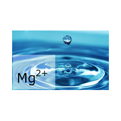 CDR FoodLab Magnesium Test Kit
