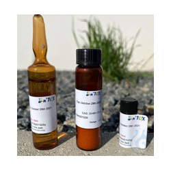 Beauvericine ntox Standard