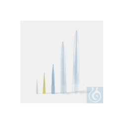 Pipette tip-Economical-Clear-5 µl