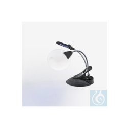 MAGNIFIER WITH INTEGRATED TABLE LAMP