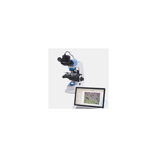 Bild Projektor- besteht aus hochwertiger Kamera und Bildbearbeitungssoftware