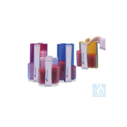 Bel-Art Easyplate 100mm Petri Dish Rack; 84 Places,...