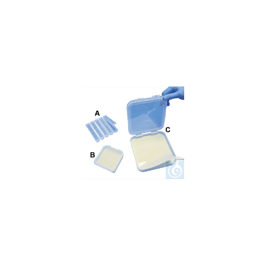 Bel-Art Antibody Saver Tray; Plastic, 5 Lane (? x 4½ in. Per Lane)