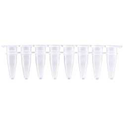 Reaction vessels 8 x 0.2 mL (PCR) with attached frosted...