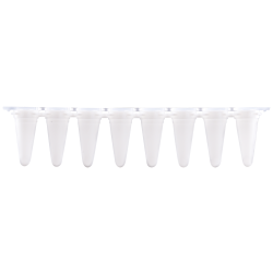 Reaction vessels 8 x 0.2 mL (qPCR) with separate optical...