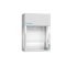 H+ Ducted Fume Hood for Acids without Arbeitsfläche