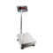 Platform scale - Weighing range: 300 kg, Readability: 0,02 kg