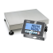 IoT Line platform scale with stainless steel indicator - Weighing range: 15 kg; 30 kg, Readability: 0,005 kg; 0,01 kg
