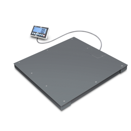 IoT-Line Bodenwaage - Wägebereich: 2.000 kg; 4.000 kg, Ablesbarkeit: 0,1 kg; 0,2 kg