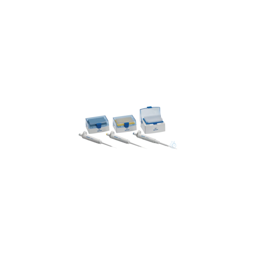 Reference 2 3-Pack Option 1