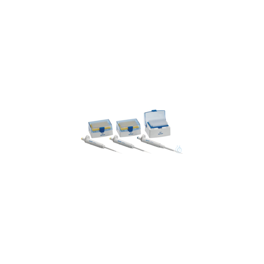 Reference 2 3-Pack Option 2