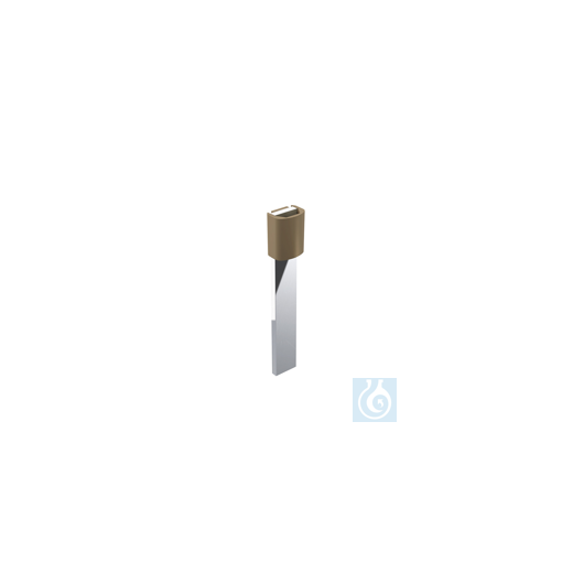 Silver (versilbert) Elektrode, 2er Set