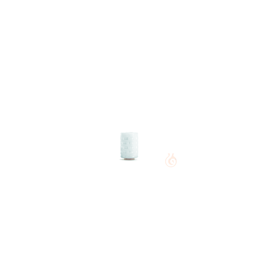 Sartopore 2 Mini, 0.2 µm, BH8, 5pcs, Sartopore® 2 Mini