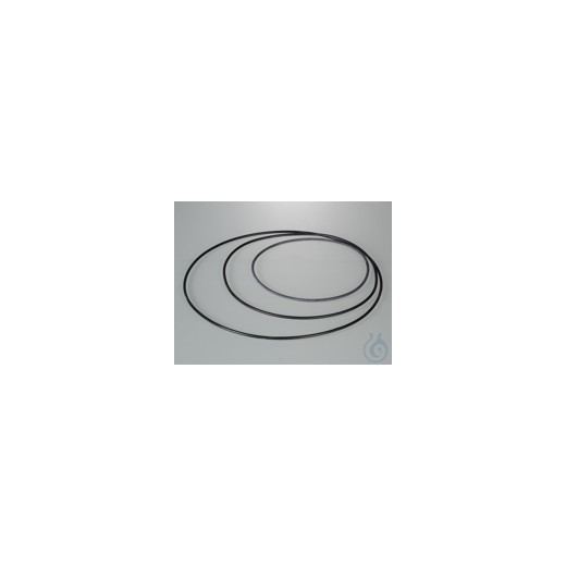 O-ring, desiccator inner-Ø 250 mm