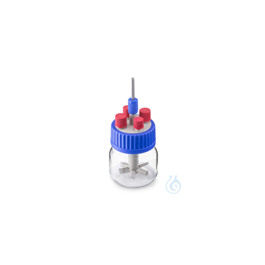 DURAN® GLS 80® Rührreaktor System, Weithals