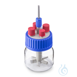 DURAN® GLS 80® Stirred reactor system, wide neck