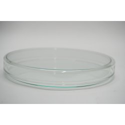 Petrischale, Glas 200 mm x 30 mm, Petri dish, Boîte...