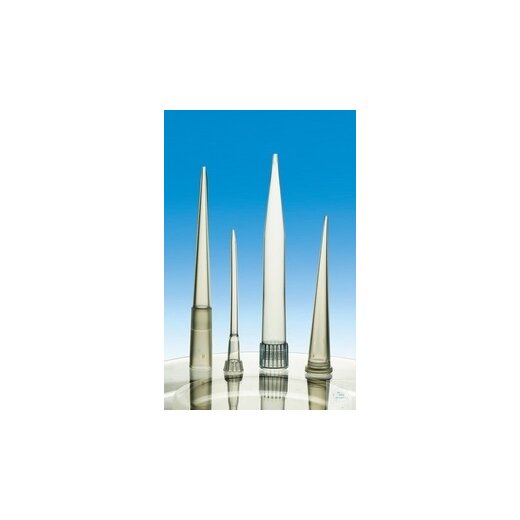 PIPETTE HEADS 1000µl