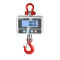 Crane scale HCD 300K-1, Weighing range 300 kg, Readout 100 g