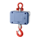 Crane scale HCD 300K-1, Weighing range 300 kg, Readout 100 g