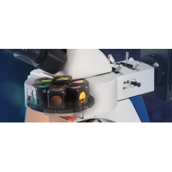 Fluorescence microscope trinocular, Inf Plan 4/10/20/40/100; WF10x20; 100W Hal (