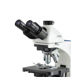Phase contrast microscope, Inf Plan 4 - Inf Plan PH 10/20/40/100; WF10x20; 3W LE