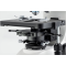 Phase contrast microscope, Inf Plan 4 - Inf Plan PH 10/20/40/100; WF10x20; 3W LE