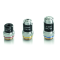 Durchlichtmikroskop (Schule) Monokular, Achromat 4/10/40; WF10x18; 0,5W LED, rec