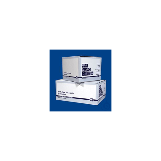 NucleoBond PC 500 EF (10)