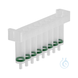 NucleoSpin RNA Filter Strips (60)